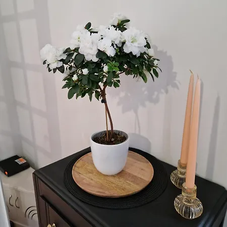 Le Petit Coin De La Bastide 11 Апартаменты